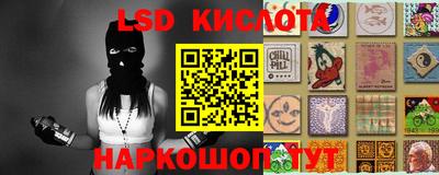 круглые Бердск