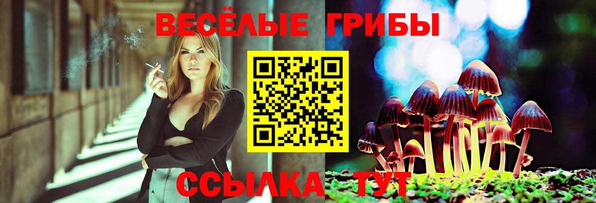 Галлюциногенные грибы MAGIC MUSHROOMS  Вход с VPN  Галлюциногенные грибы прущие грибы  Дербент 